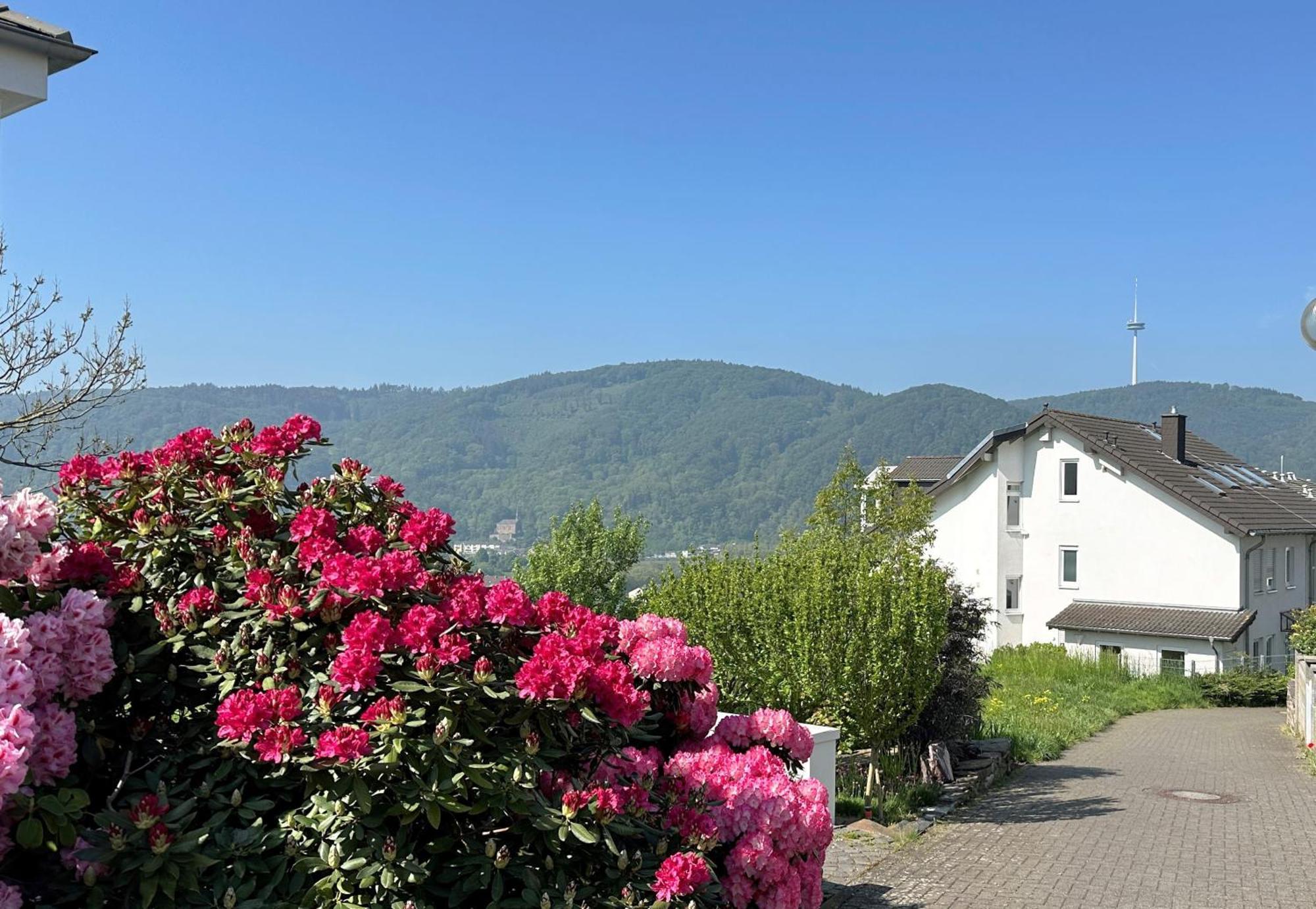 Ferienwohnung Rhein-Panorama Lahnstein Dış mekan fotoğraf